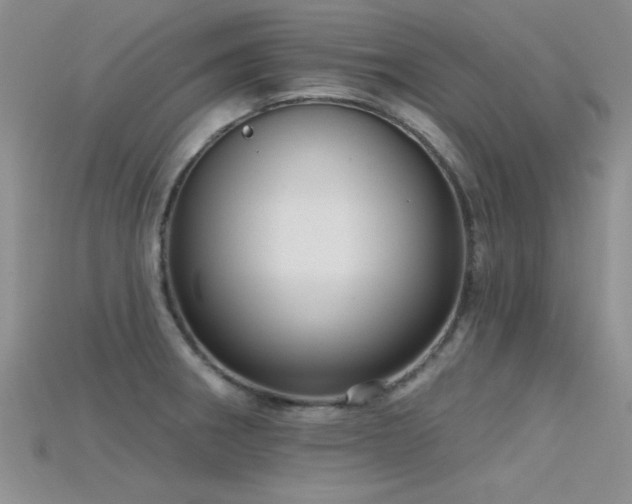 X0000115671282200911121145