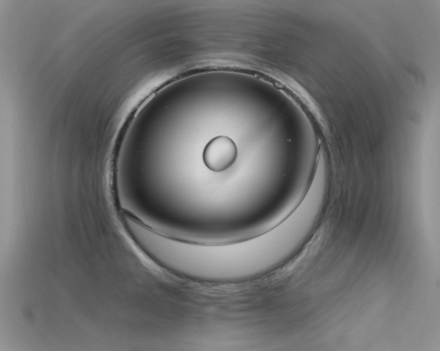 X0000115671285200911121145