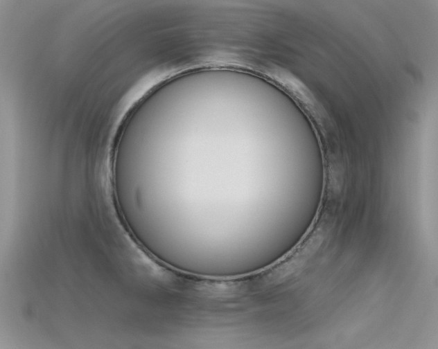 X0000115671286200911121145