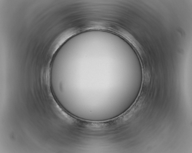 X0000115671290200911121145