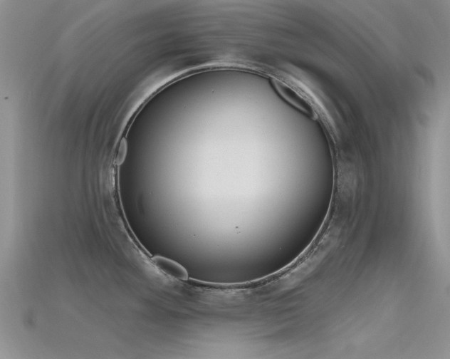 X0000115671292200911121145