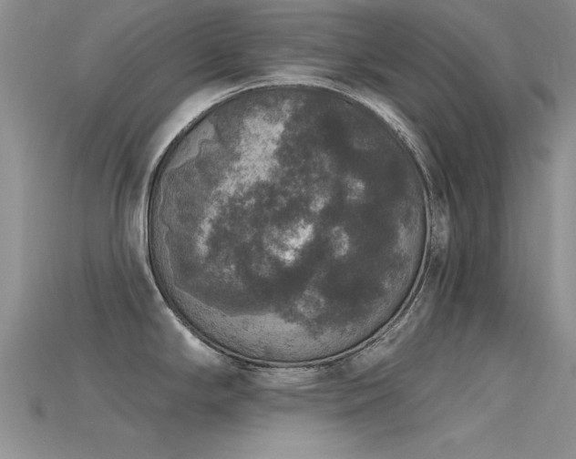 X0000115671294200911121145