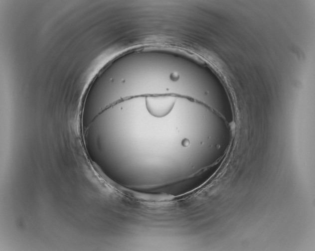 X0000115671296200911121145
