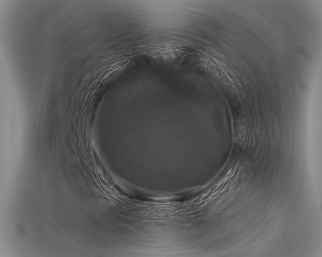 X0000115671297200911121144