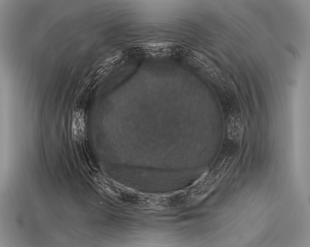 X0000115671298200911121144