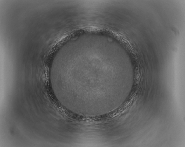 X0000115671301200911121144