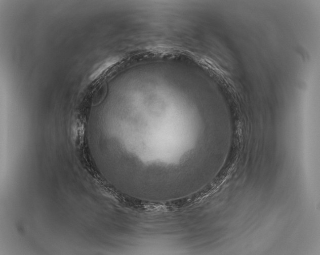 X0000115671302200911121144