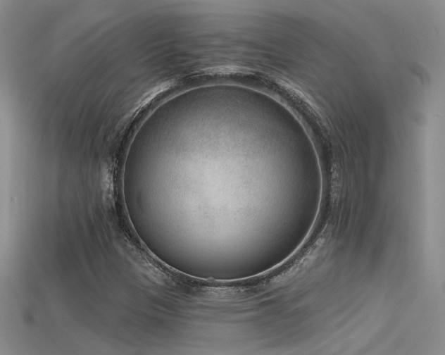 X0000115671305200911121144
