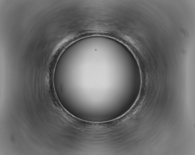 X0000115671307200911121144