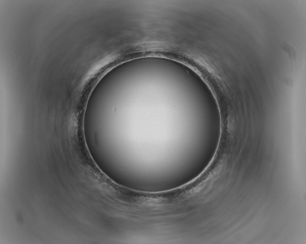 X0000115671309200911121144
