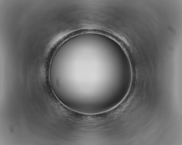 X0000115671311200911121144