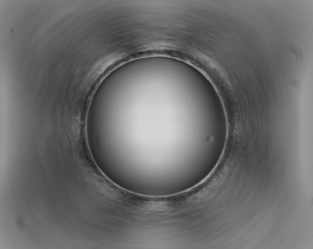 X0000115671313200911121144
