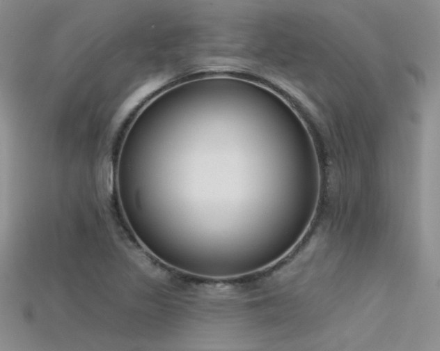 X0000115671317200911121144