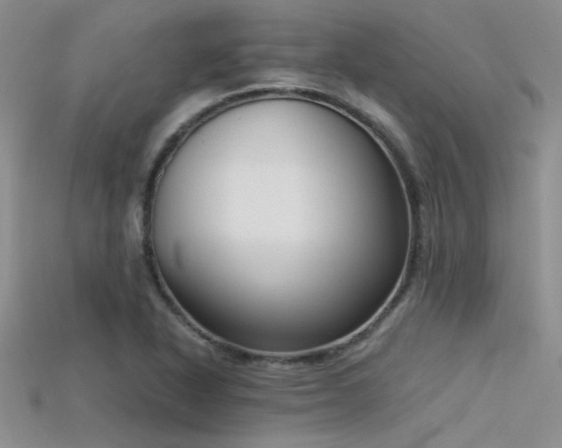X0000115671318200911121144