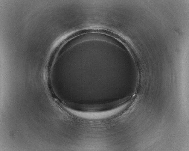 X0000115671319200911121144