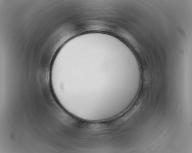 X0000115671322200911121144