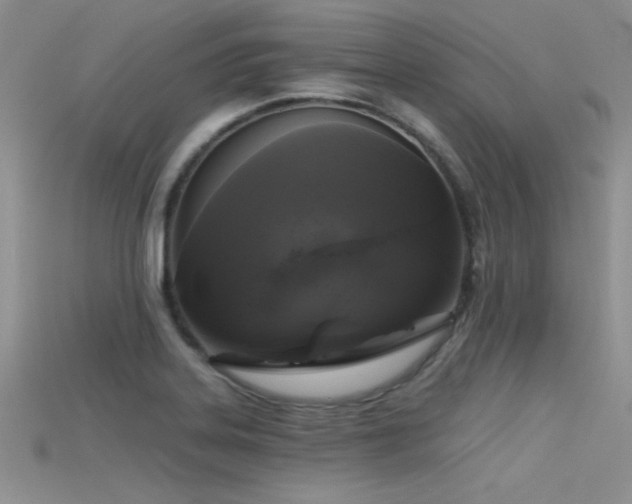 X0000115671323200911121144