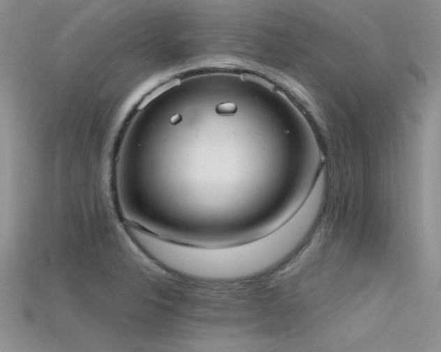 X0000115671326200911121144