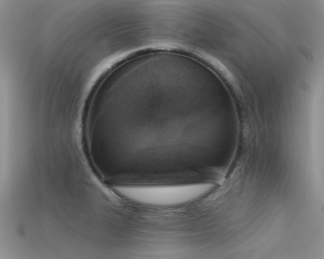 X0000115671327200911121145