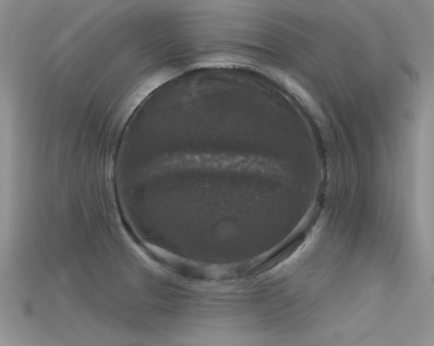 X0000115671329200911121145