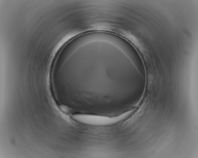 X0000115671331200911121145