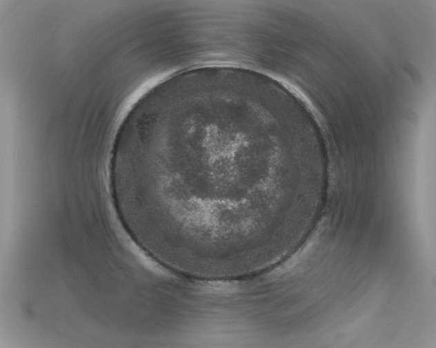 X0000115671333200911121145