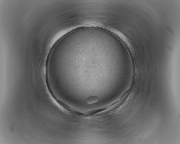 X0000115671335200911121145