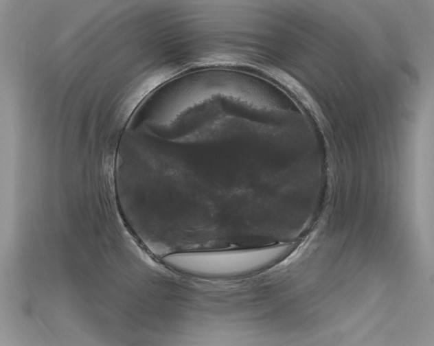 X0000115671337200911121145