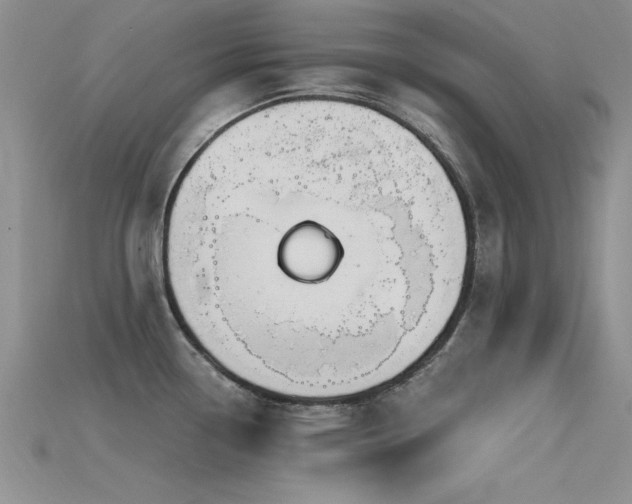 X0000115671338200911121145