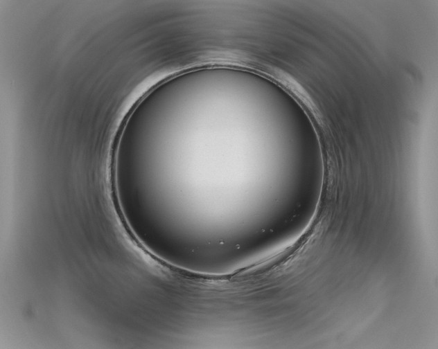 X0000115671339200911121145
