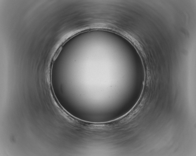 X0000115671342200911121145