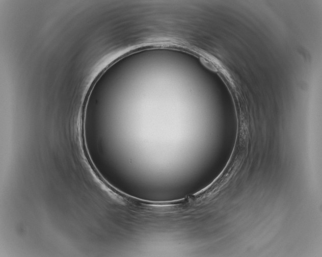X0000115671343200911121145
