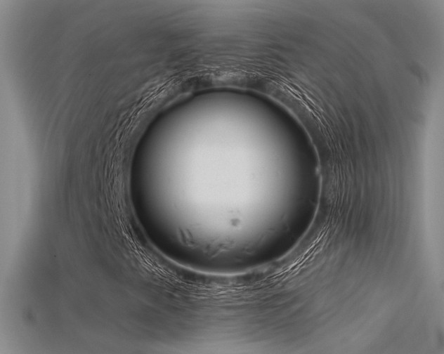 X0000115671345200911121144