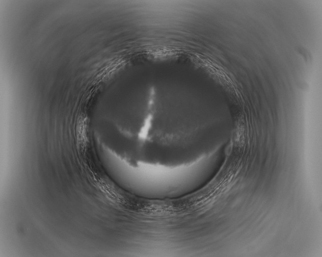 X0000115671346200911121144