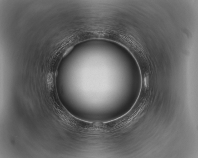 X0000115671347200911121144