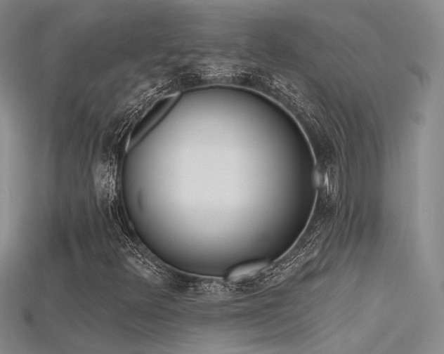 X0000115671348200911121144