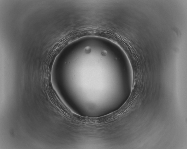 X0000115671349200911121144