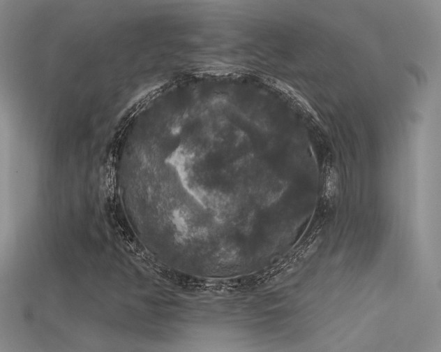 X0000115671350200911121144
