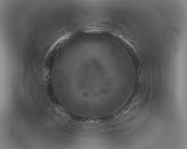 X0000115671351200911121144