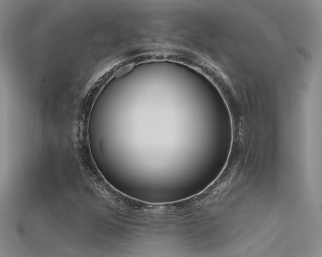 X0000115671352200911121144
