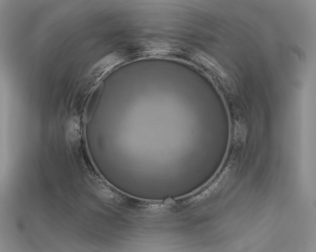 X0000115671353200911121144