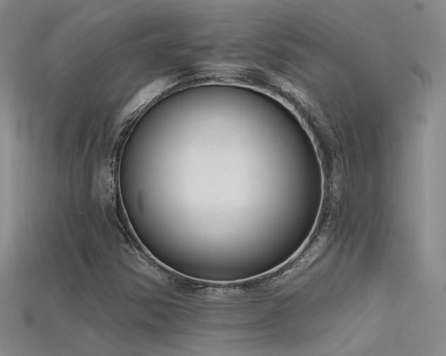 X0000115671354200911121144