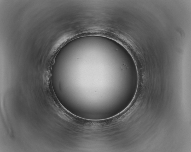 X0000115671355200911121144