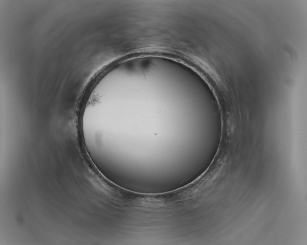 X0000115671356200911121144