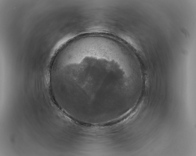 X0000115671358200911121144