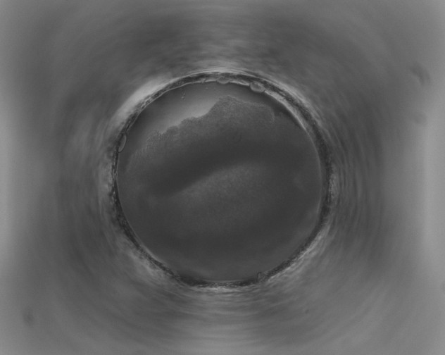 X0000115671359200911121144