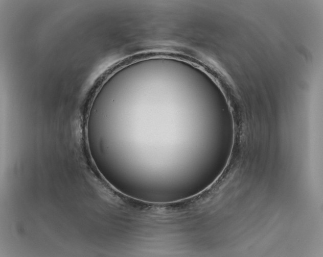 X0000115671360200911121144
