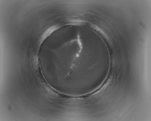 X0000115671362200911121144