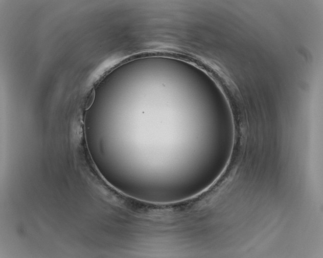 X0000115671363200911121144