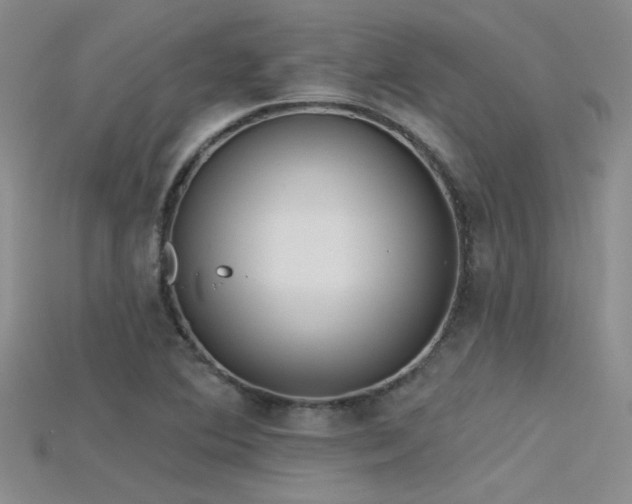 X0000115671364200911121144